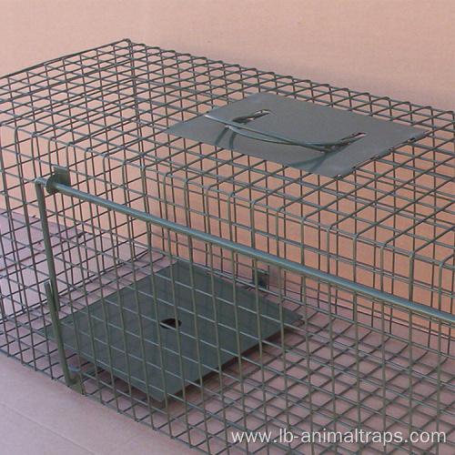 Custom Pet Dogs House Cages